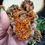 Thumbnail: Crocoite Cluster