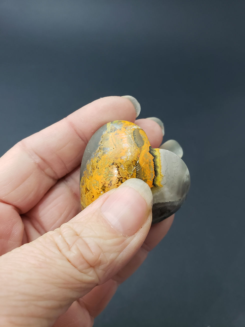 Thumbnail: Bumblebee Jasper Heart