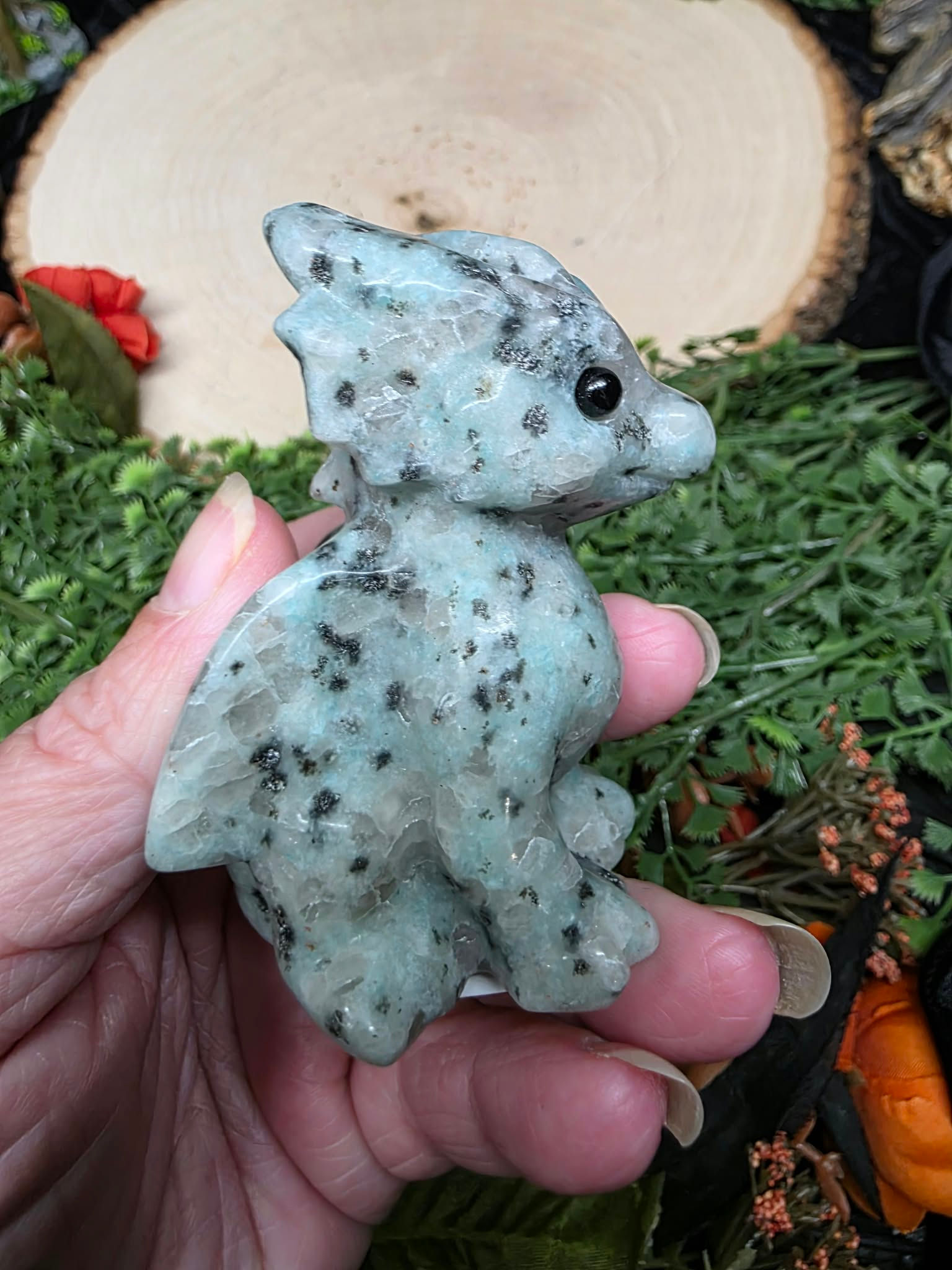 Kiwi Jasper Dragon