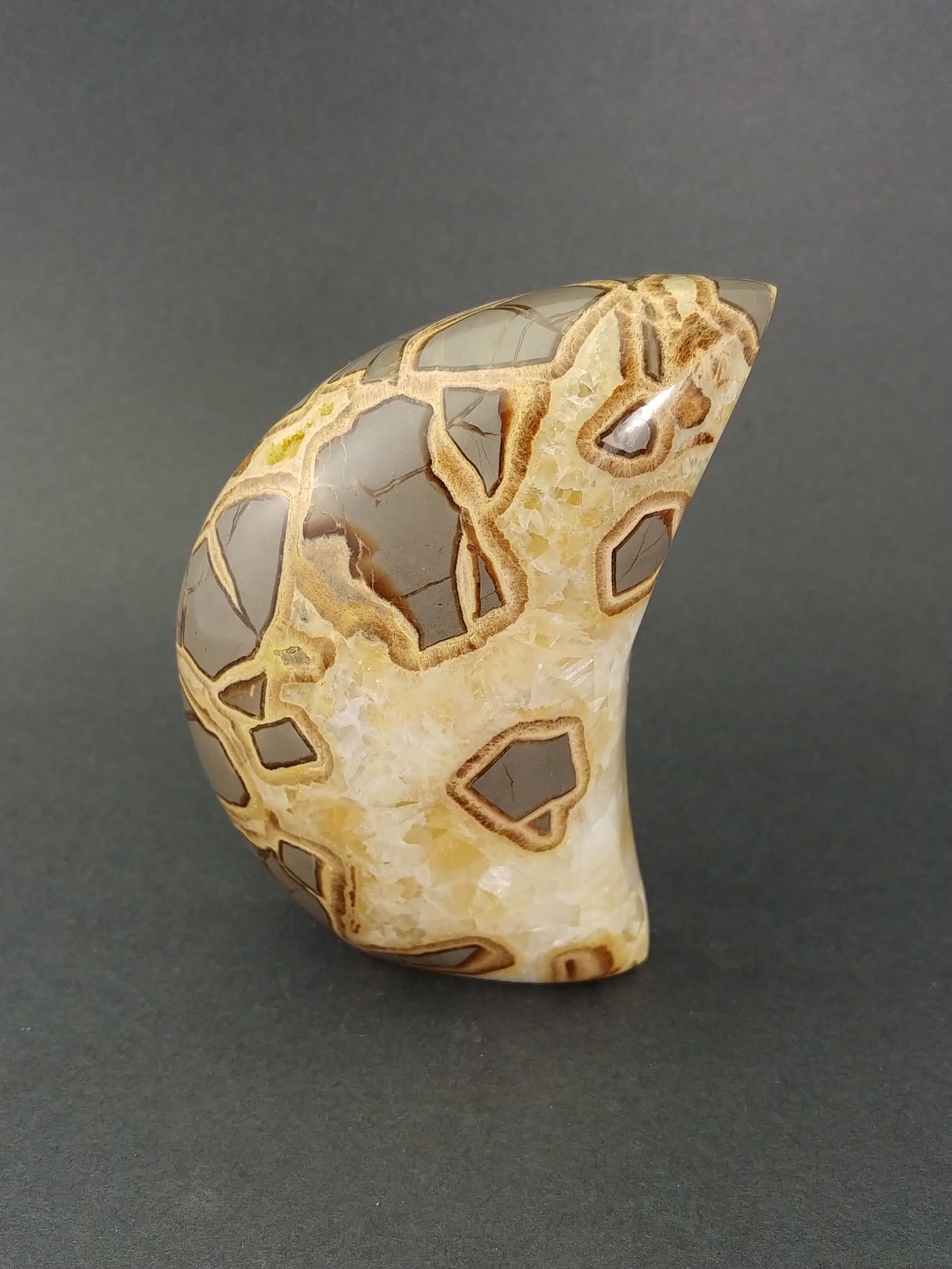 Dragon Septarian Moon