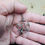 Thumbnail: Classic Pentacle Necklace