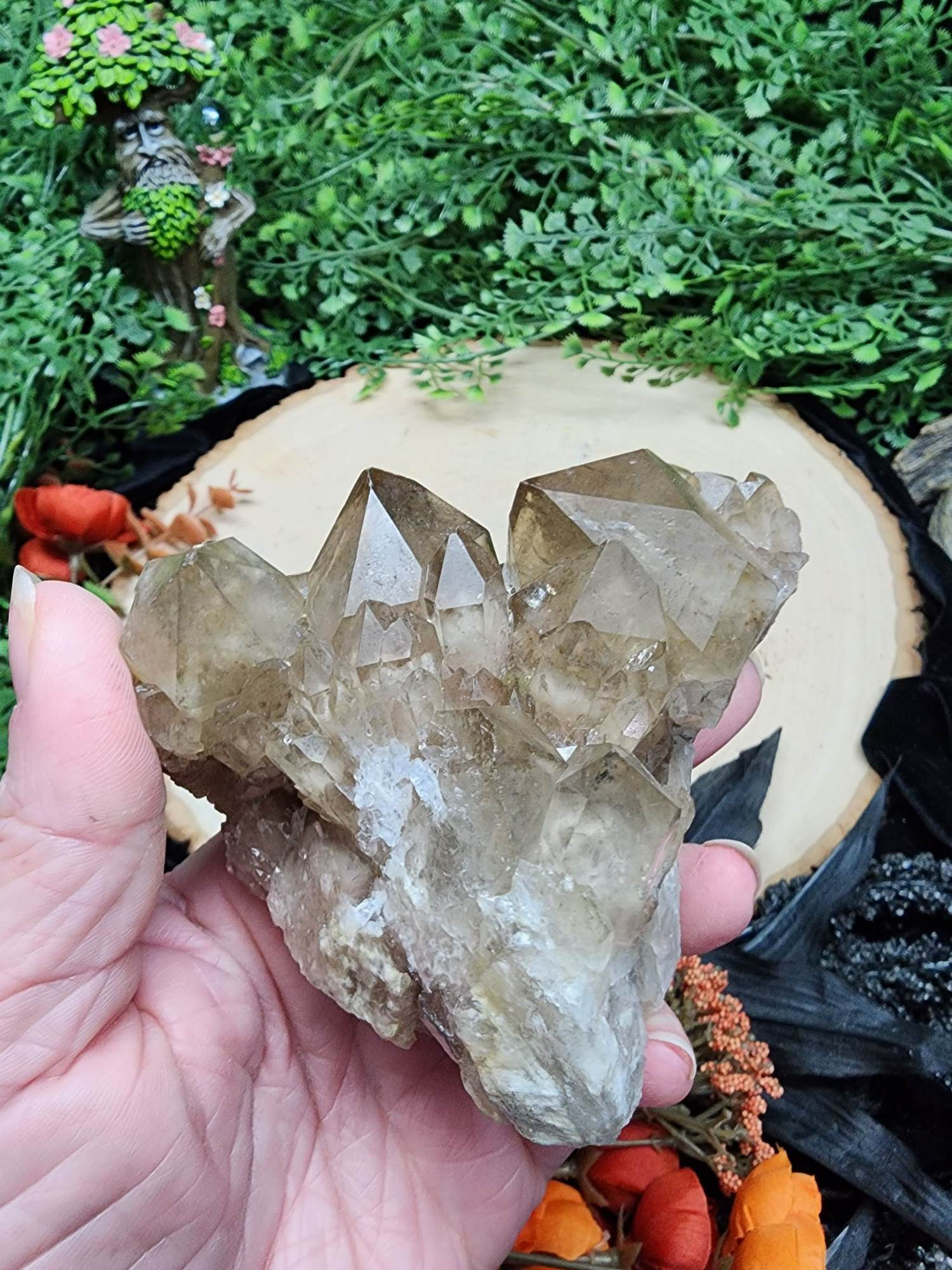 Lightbrary Citrine