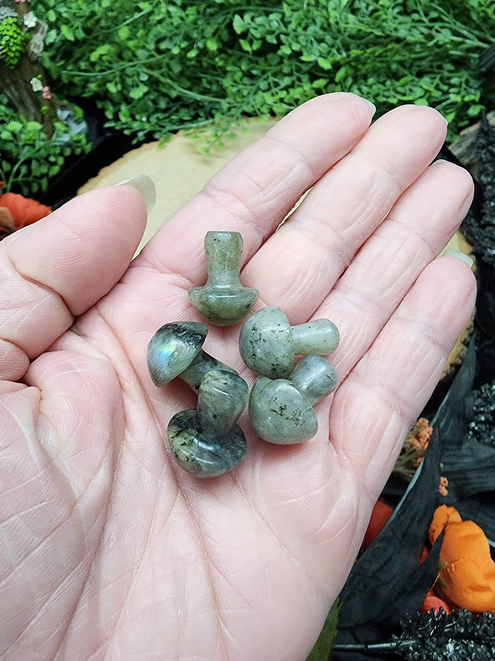 Thumbnail: 1" Mushrooms