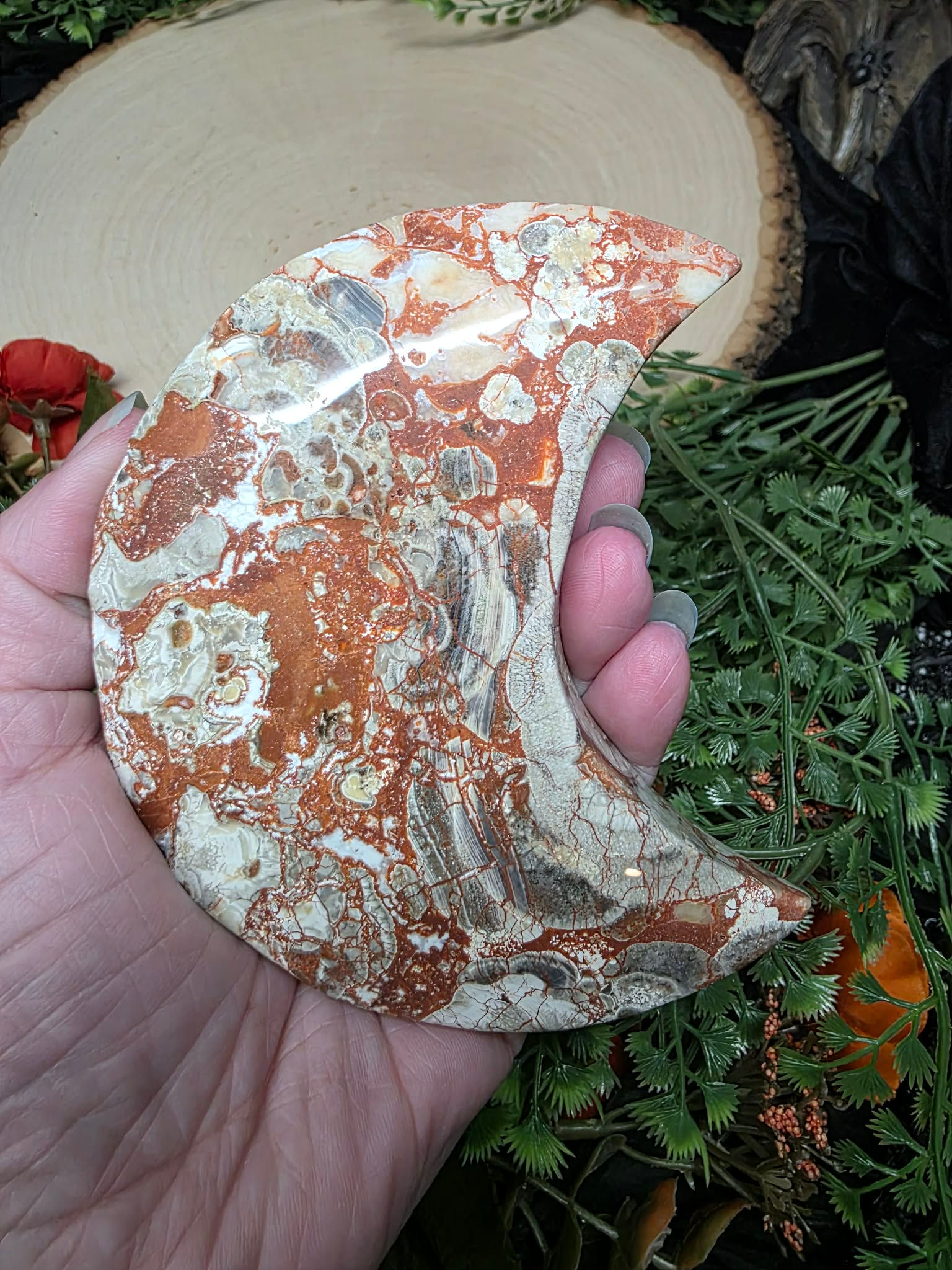 Mushroom Jasper Moon