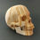 Thumbnail: Arizona Sandstone Skull