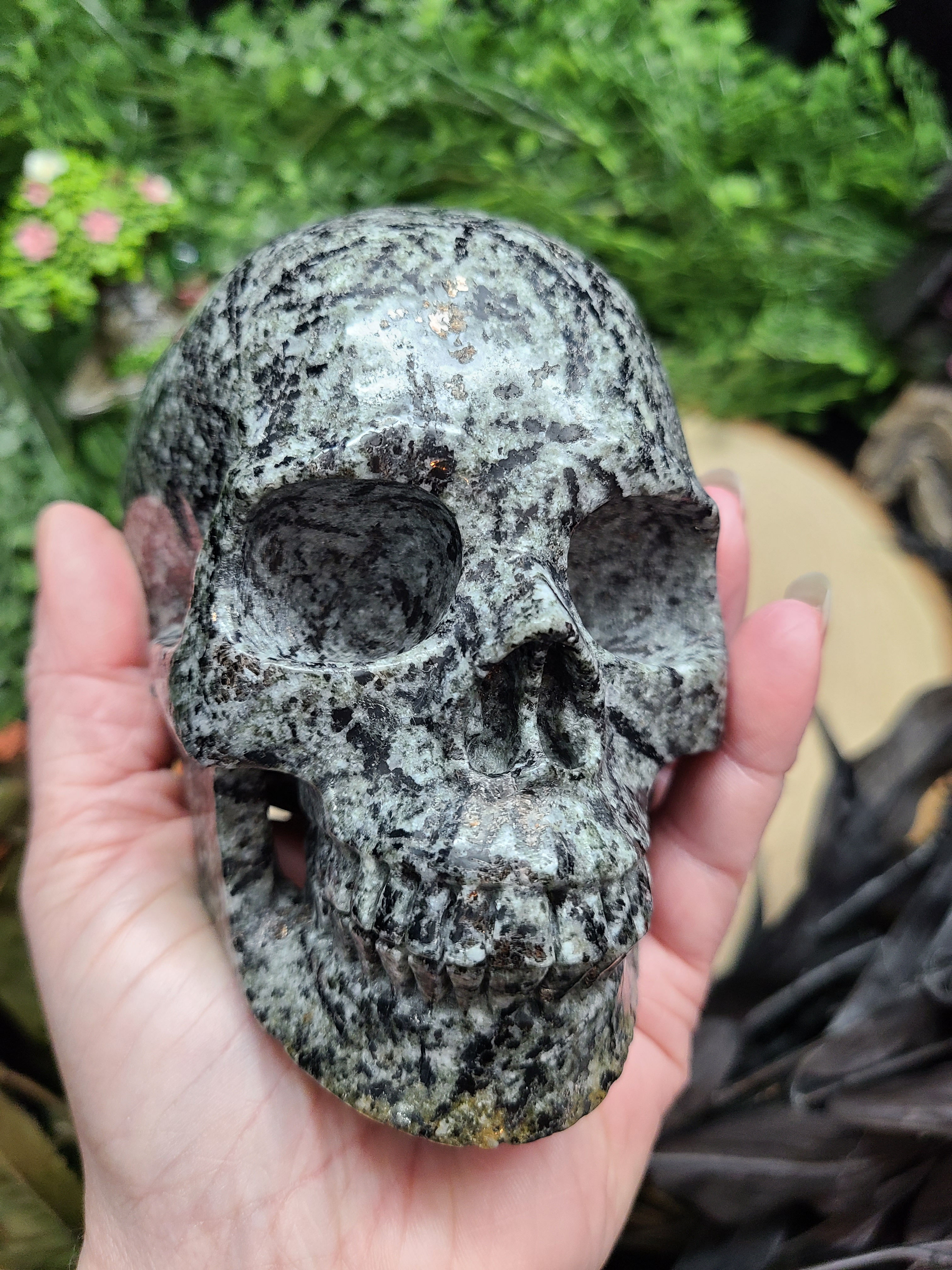 Biotite with Light Astrophyllite Skull