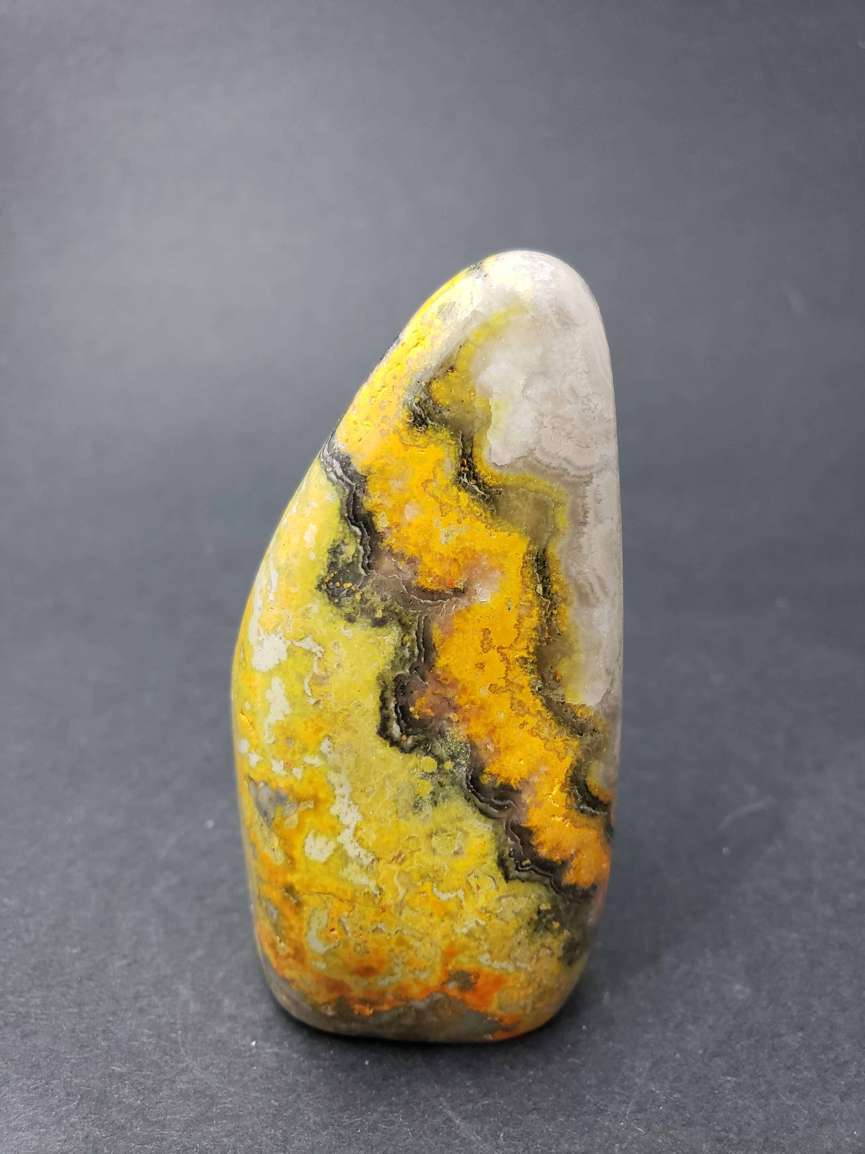 Bumblebee Jasper Freeform
