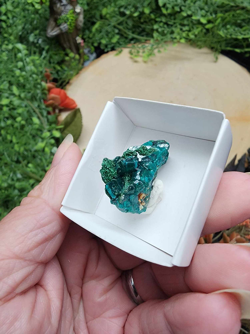 Thumbnail: Dioptase Cluster