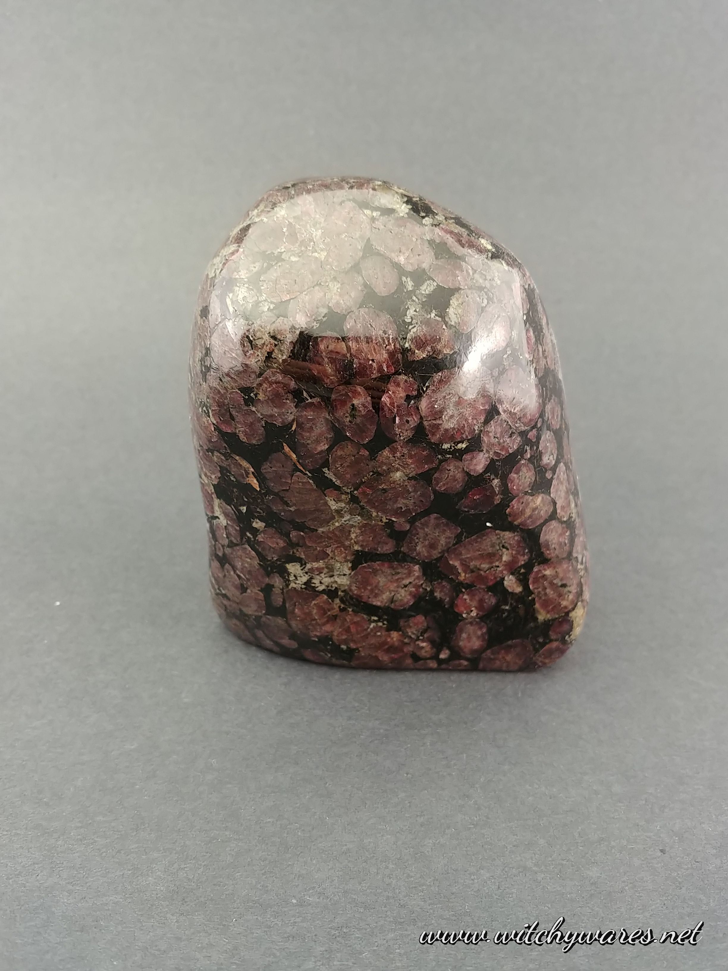Garnet in Biotite Freeform