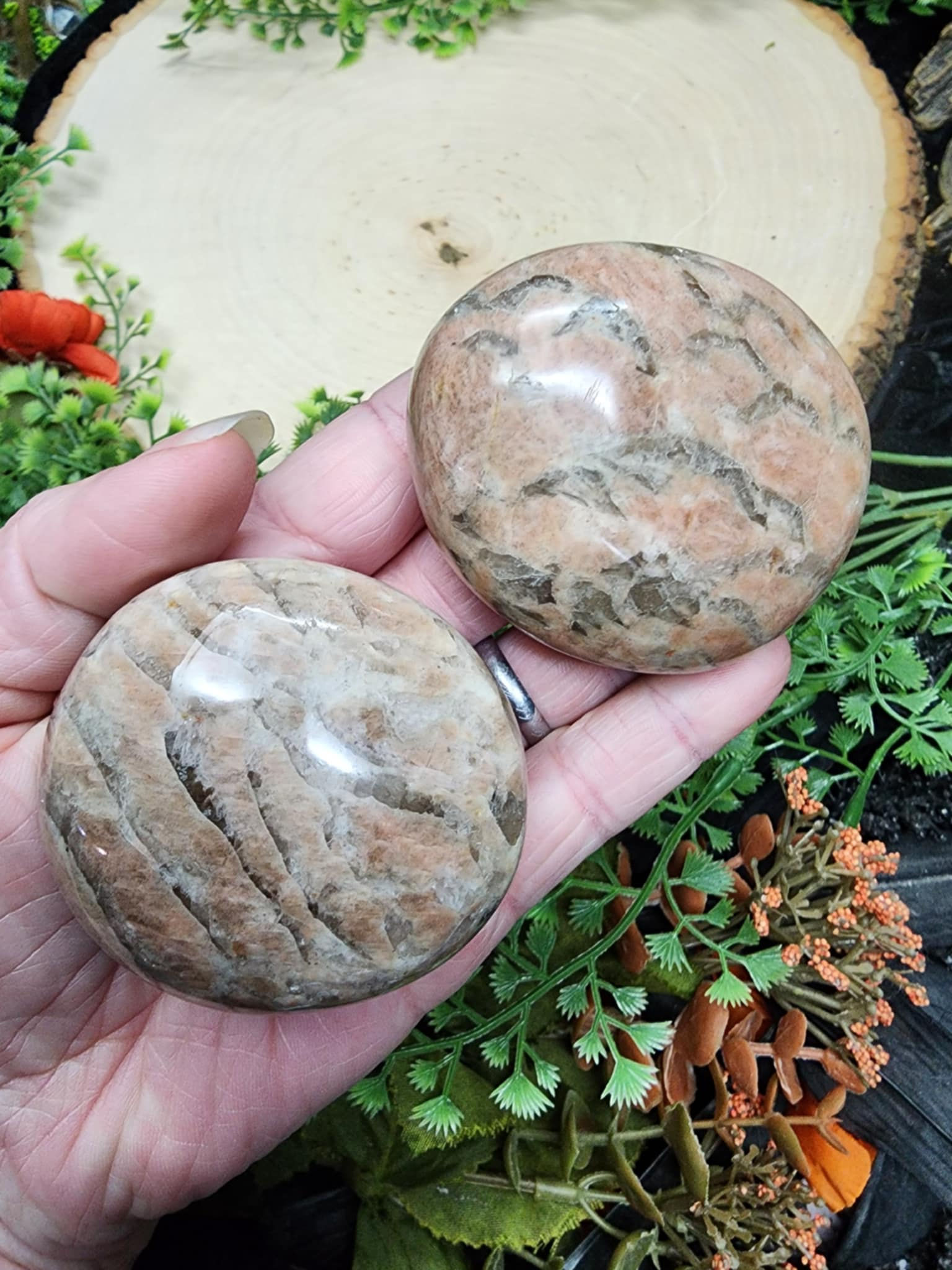 Zebradorite Palm Stone
