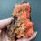 Thumbnail: Crocoite Cluster