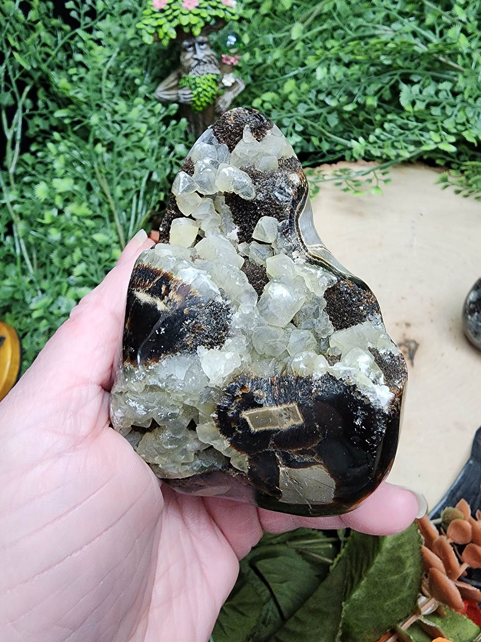 Thumbnail: Dragon Septarian Freeform