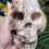 Thumbnail: Coral Skull