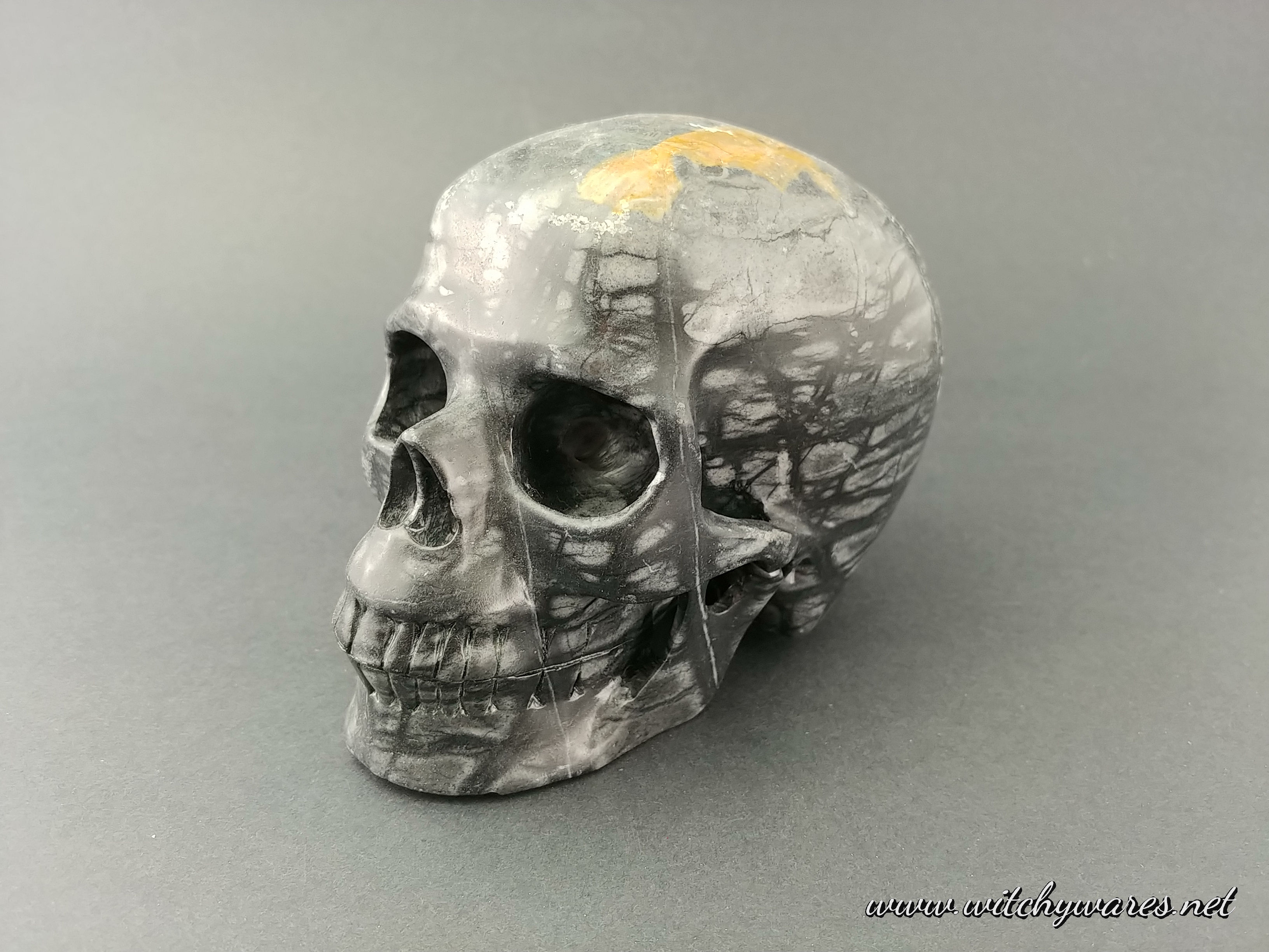Picasso Jasper Skull
