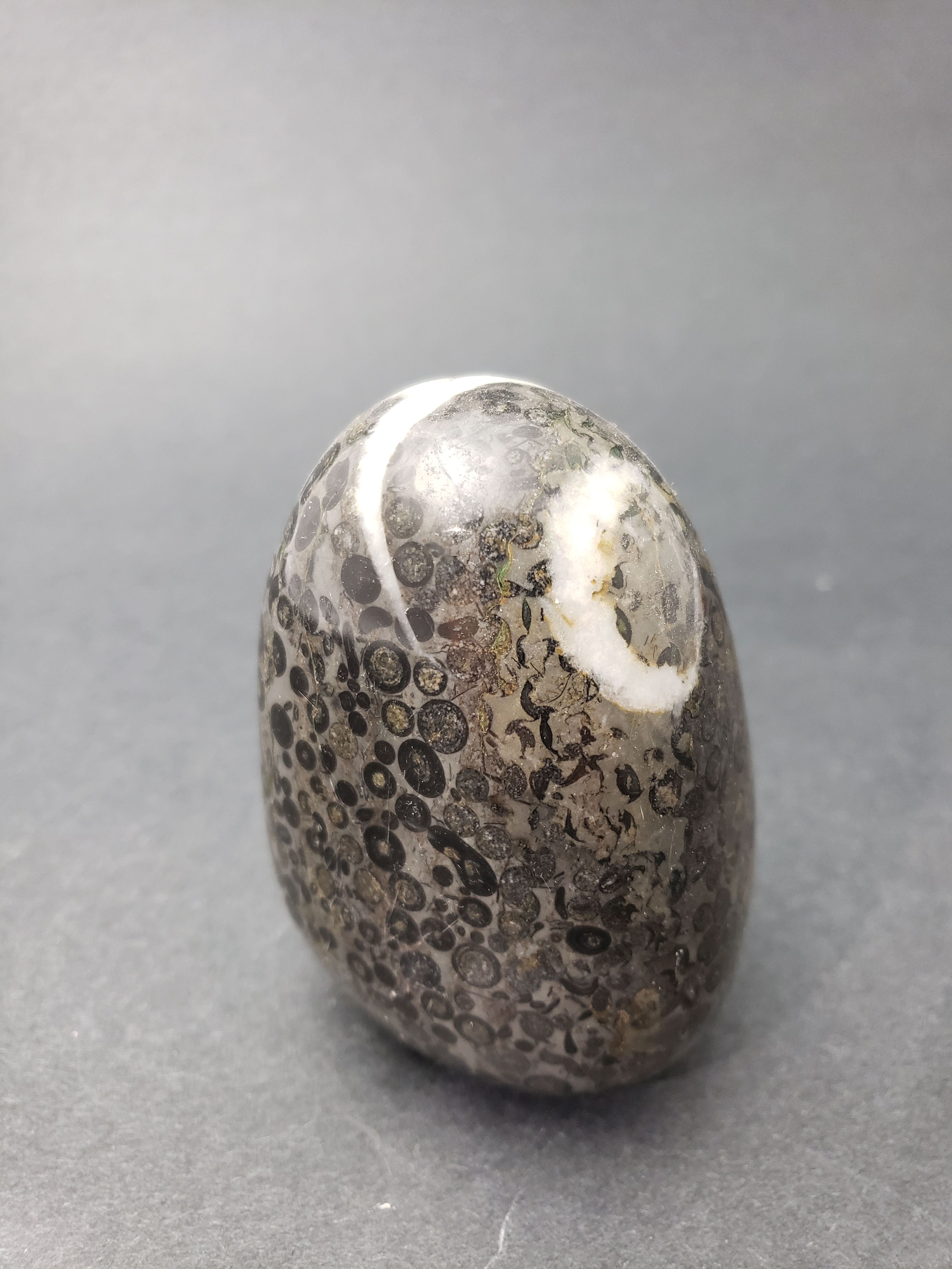 Kambaba Jasper Freeform