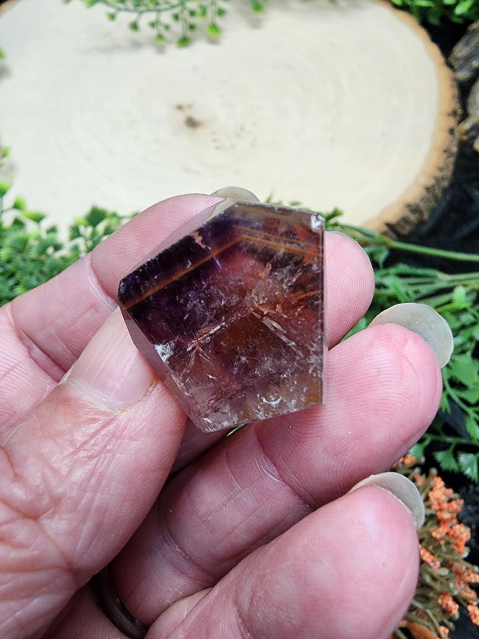 Super Seven Freeform