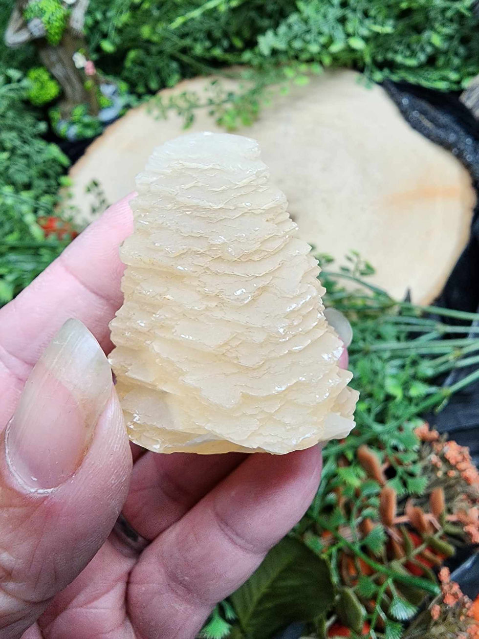 Phantom Angel Wing Calcite