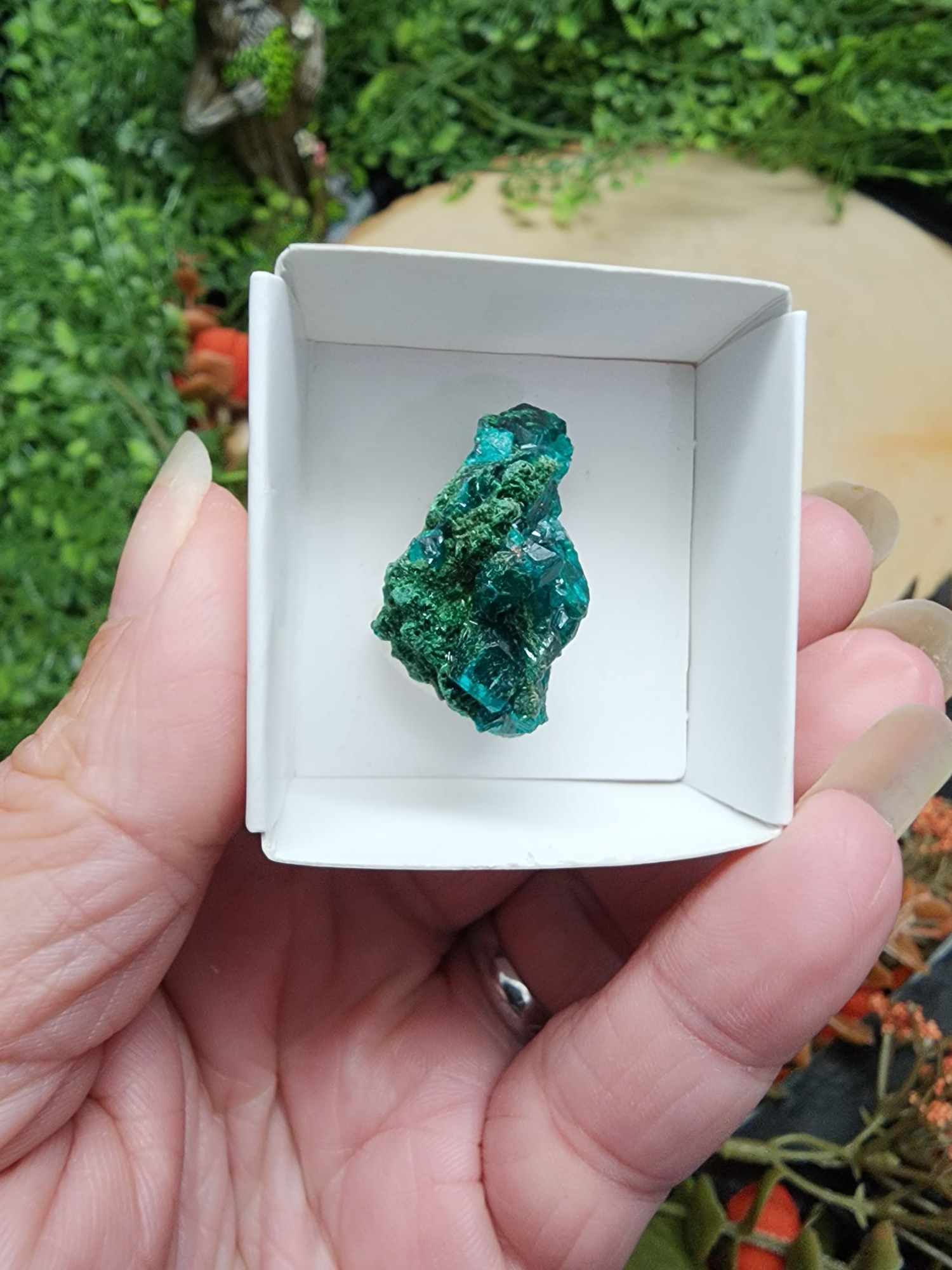 Dioptase Cluster