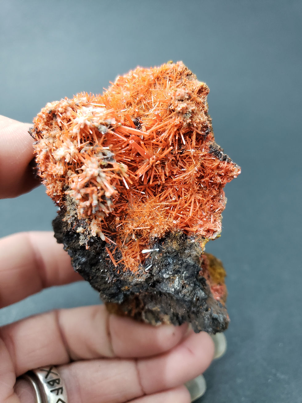 Thumbnail: Crocoite Cluster