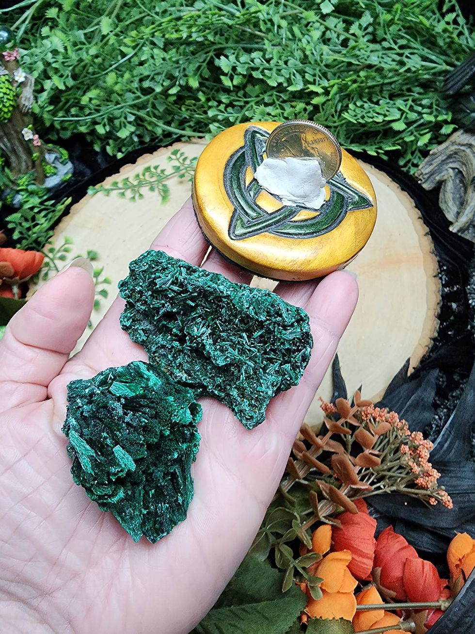 Thumbnail: Fibrous Malachite Cluster