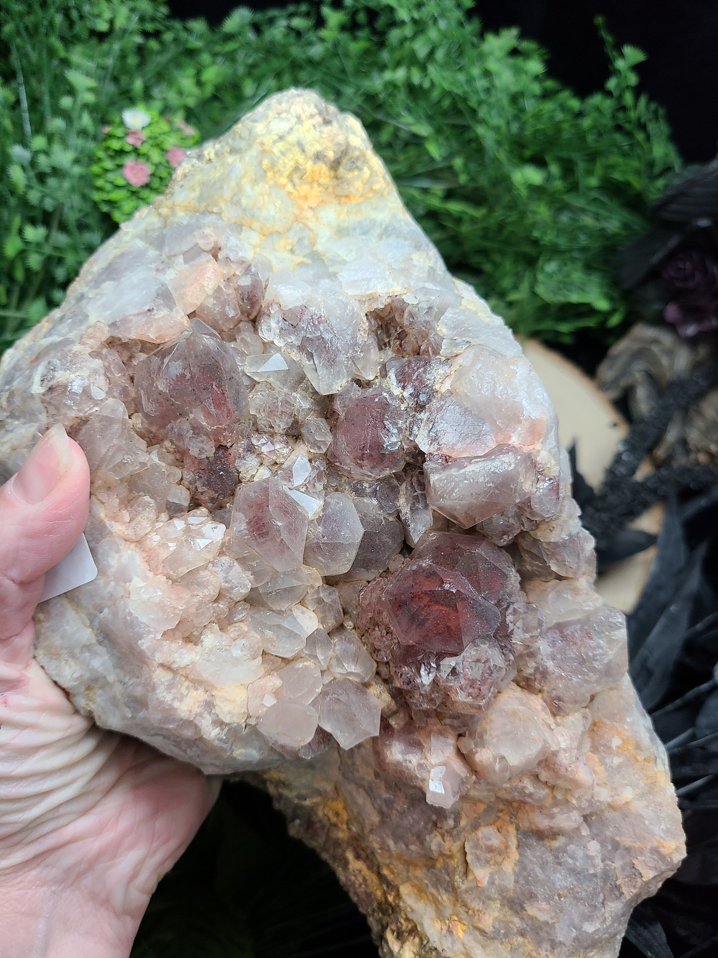 Asylum Quartz Cluster