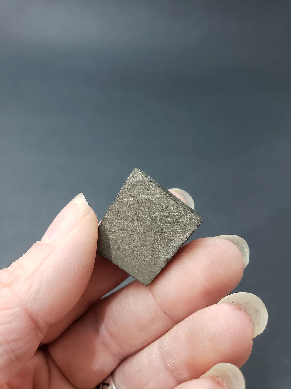 Thumbnail: Ammolite Cab