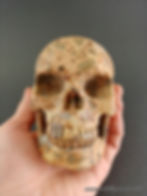 Thumbnail: Rhyolite Skull