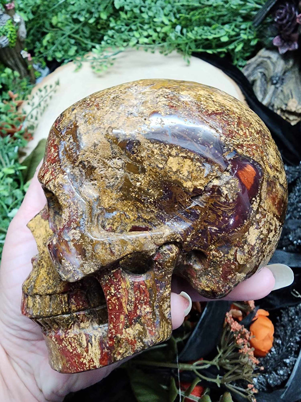 Thumbnail: Pietersite Skull