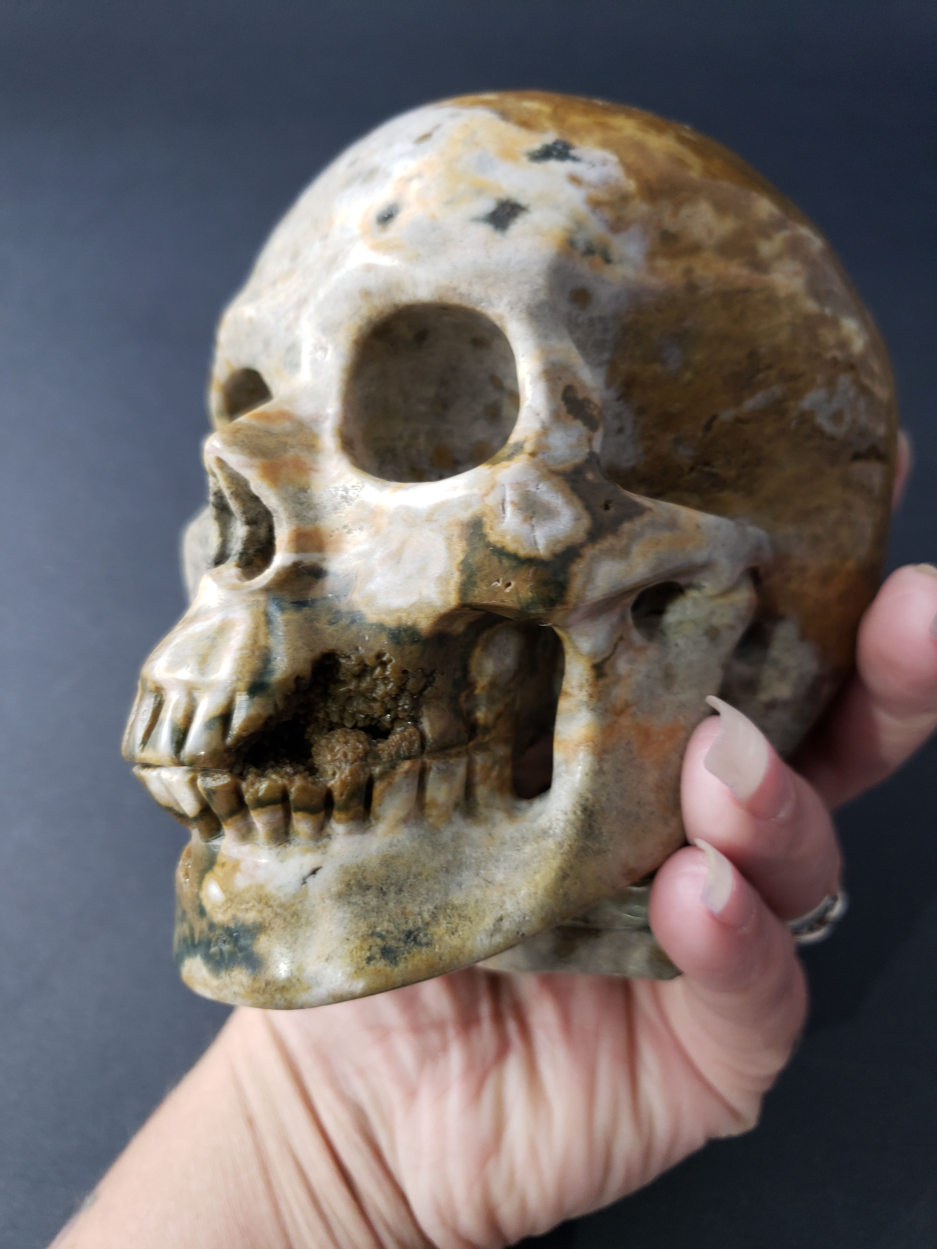 Ocean Jasper Skull