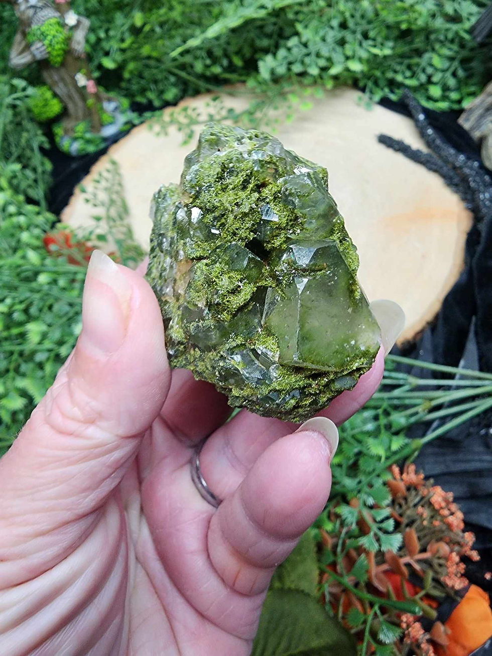Fairy Forest Epidote Cluster