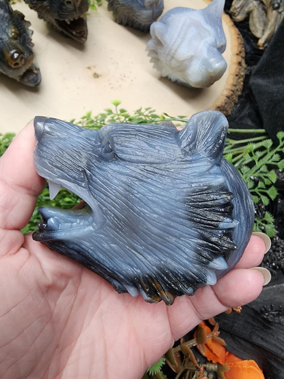 Thumbnail: Agate Bear Skull