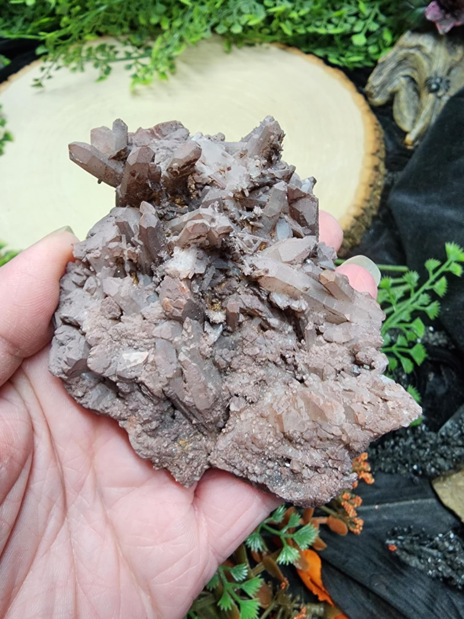 Red Dragon Lemurian Quartz