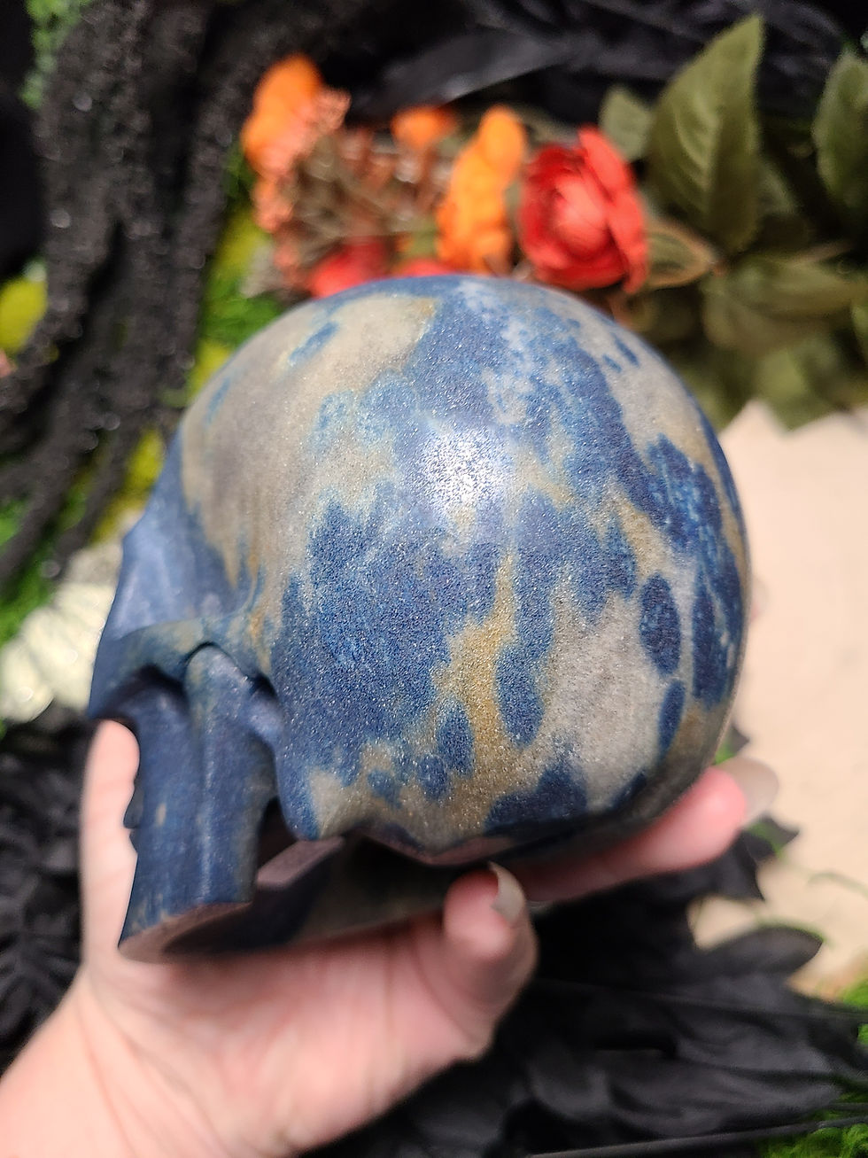 Thumbnail: Trolleite Skull