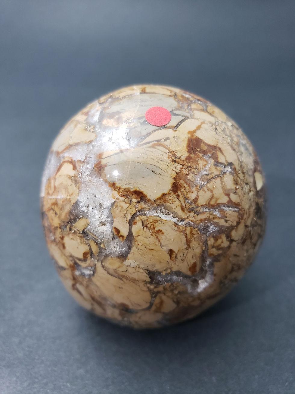 Thumbnail: Ibis Jasper Freeform