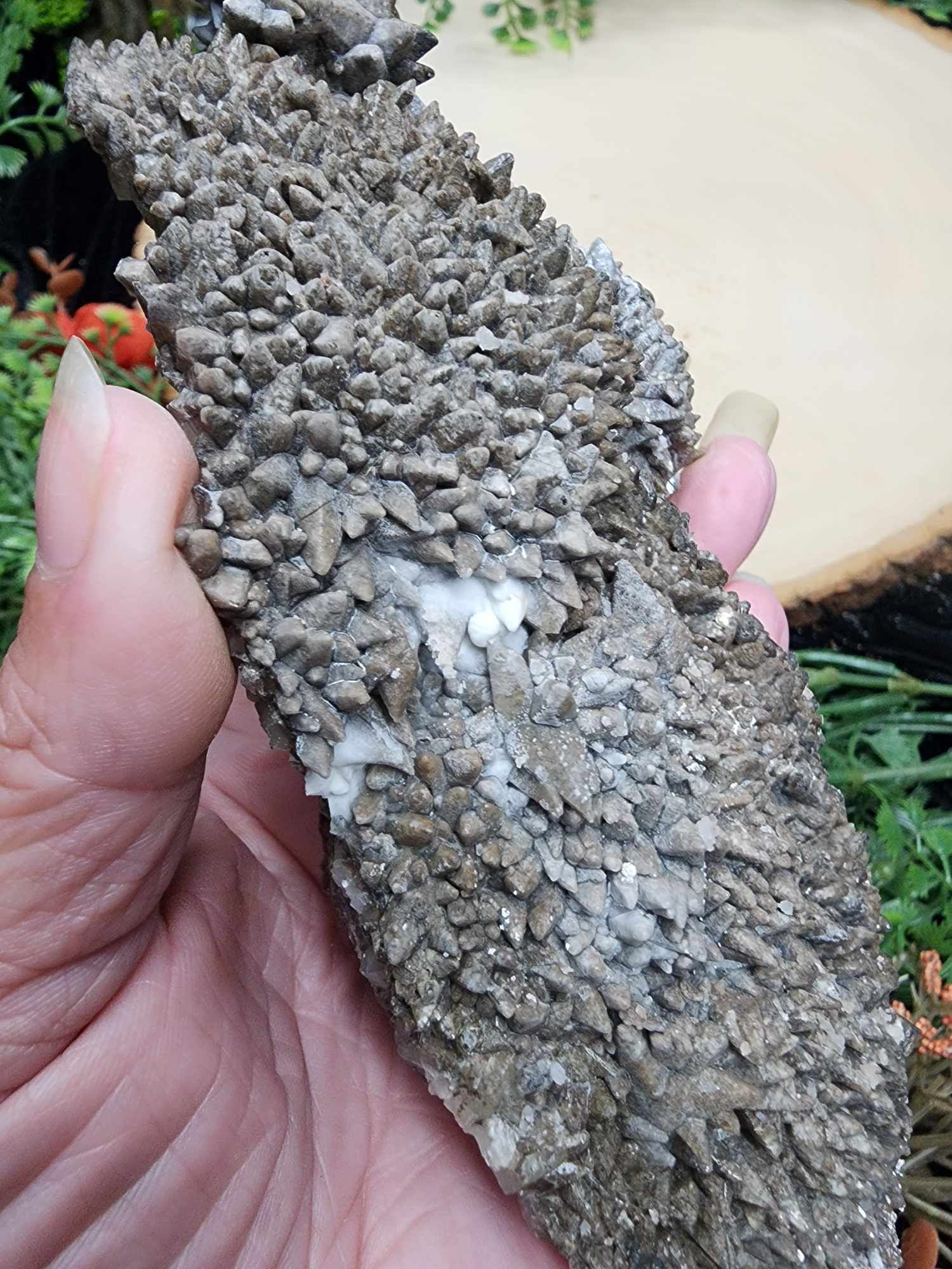 Dogtooth Calcite Cluster