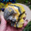 Thumbnail: Bumblebee Jasper Skull