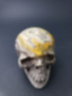 Thumbnail: Bumblebee Jasper Skull