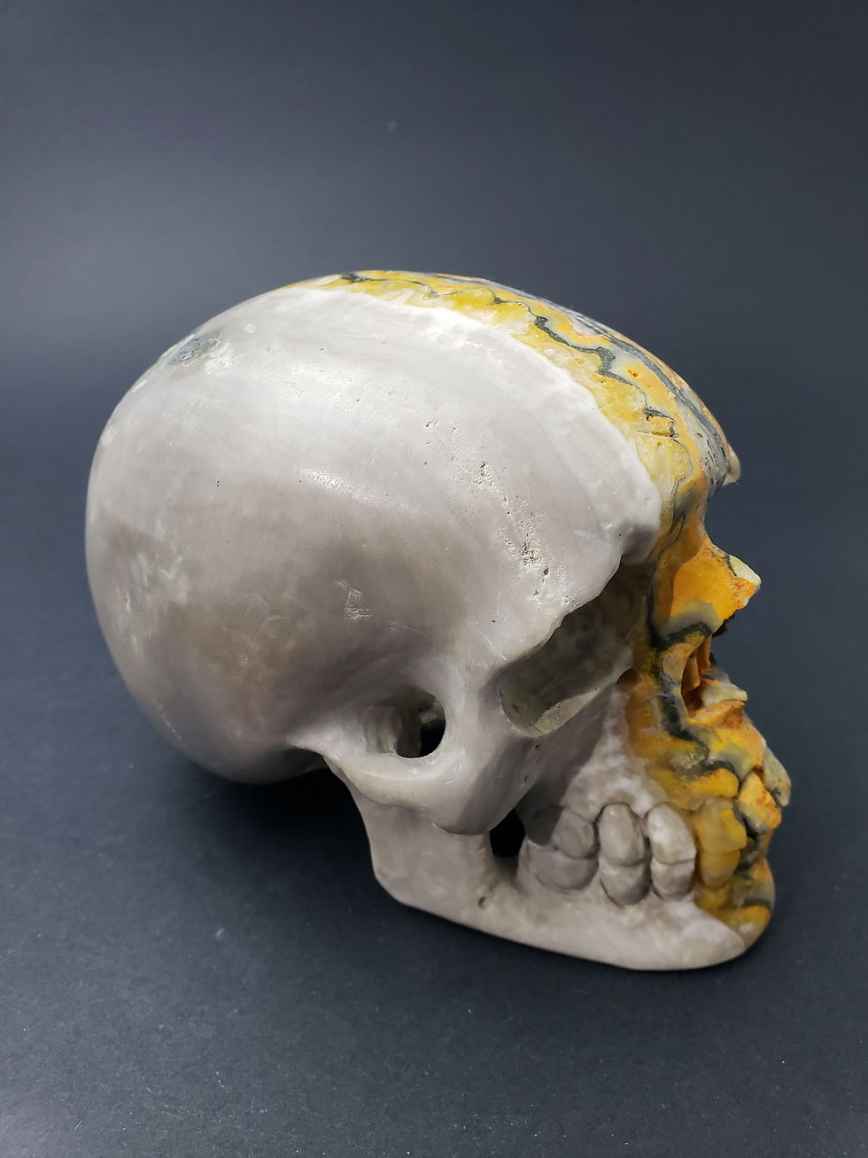 Thumbnail: Bumblebee Jasper Skull