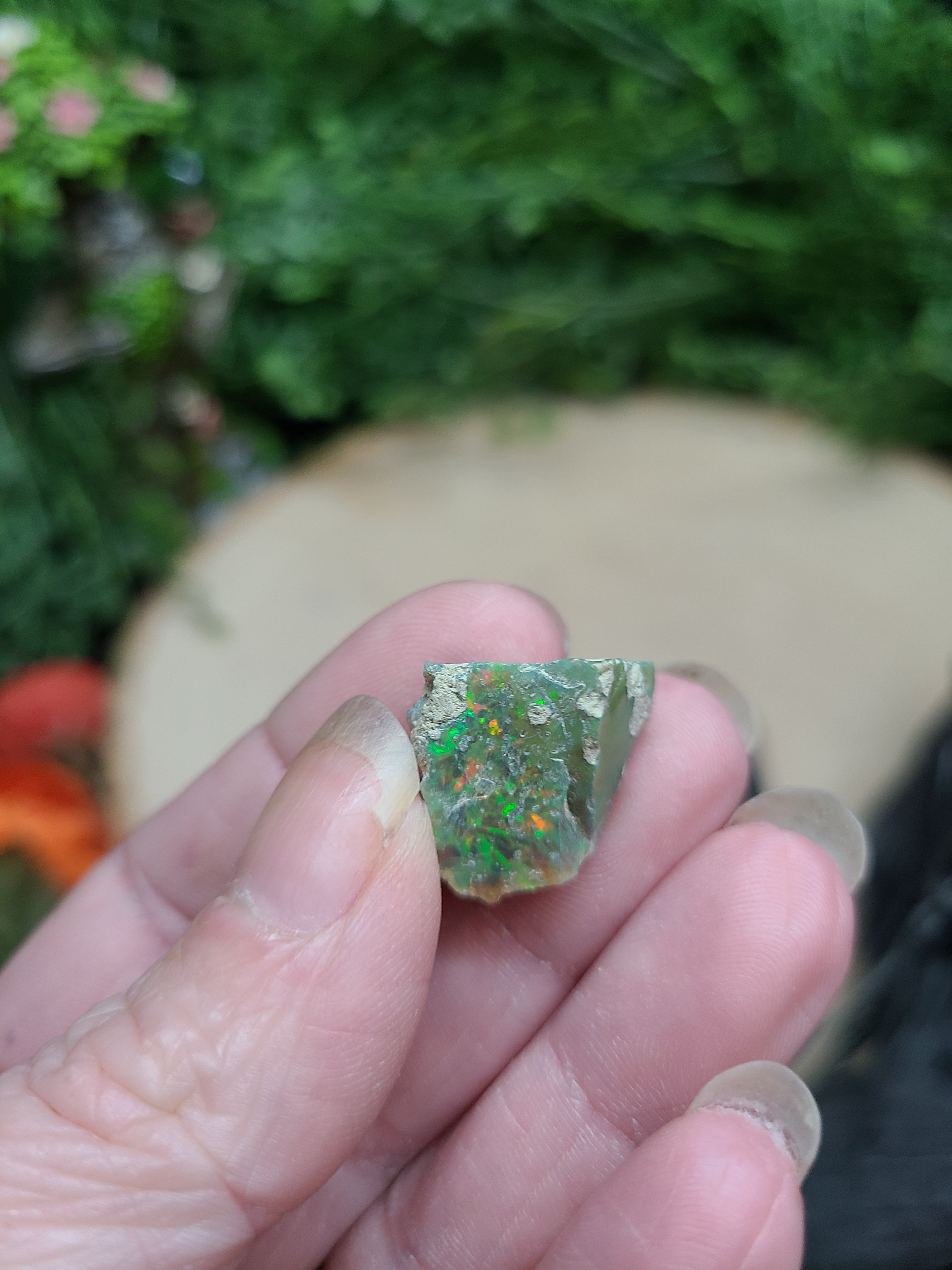 Ethiopian Opal