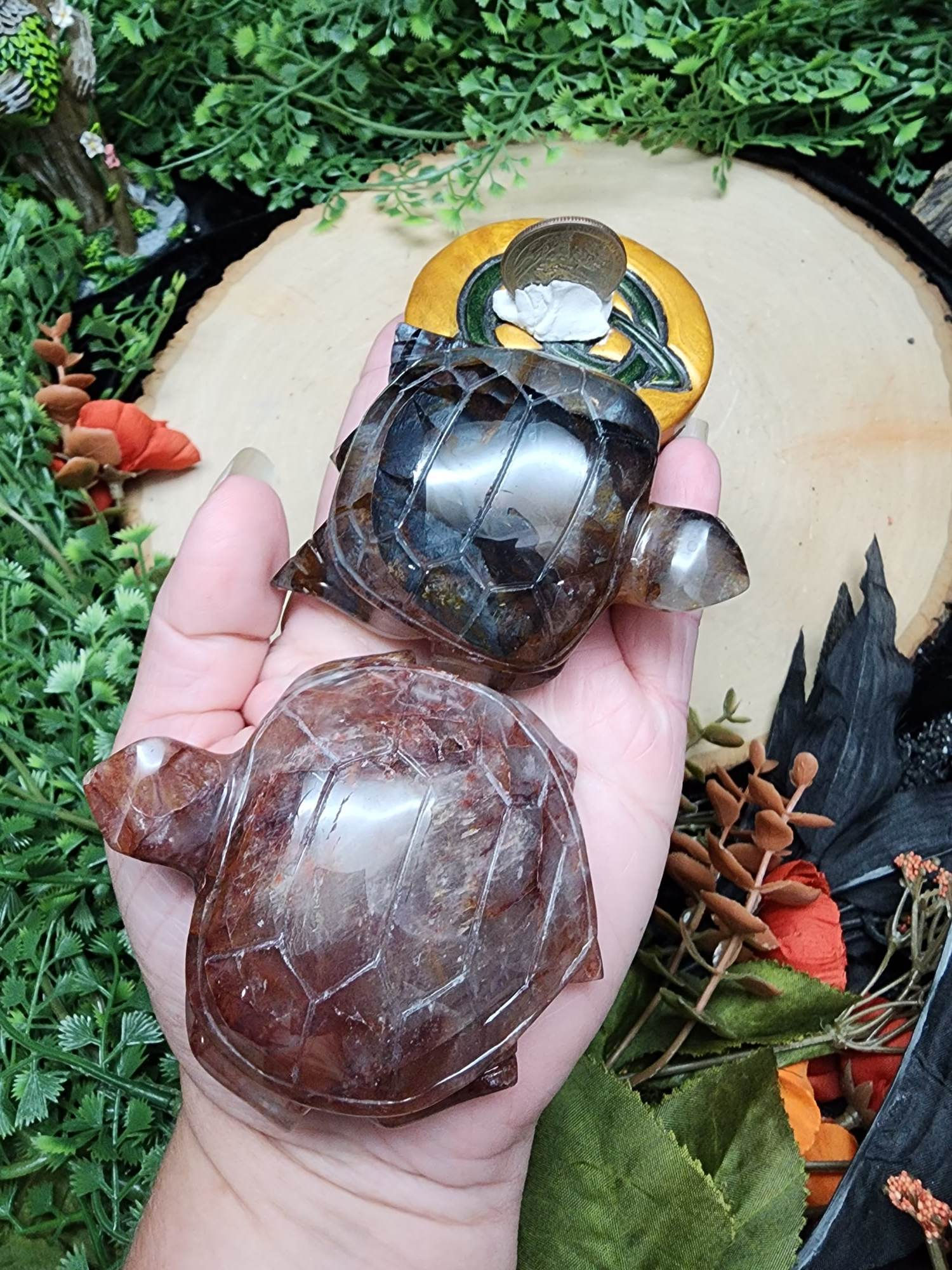 Fire Quartz Turtle