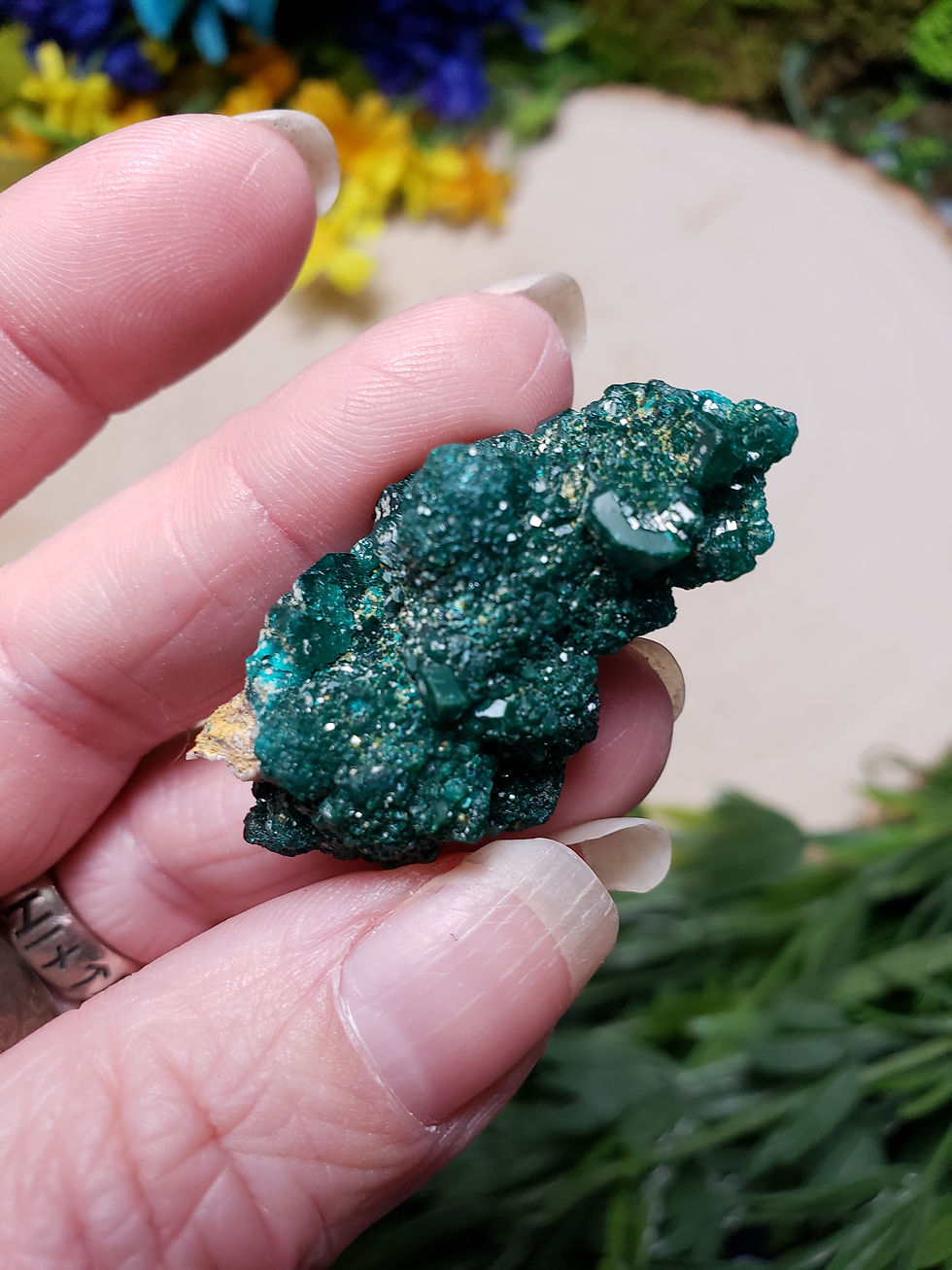 Thumbnail: Dioptase Cluster
