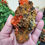 Thumbnail: Crocoite Cluster