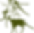 cropped graphics_v1-05.png