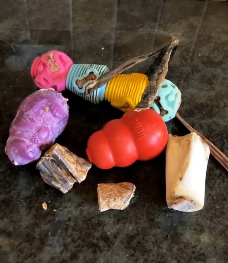 Assortment of dog enrichment toys and chews, including a red Kong, purple treat dispenser, colourful textured toys, and natural chews, placed on a dark surface to promote mental stimulation for dogs.