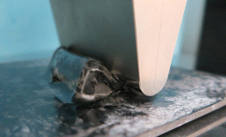 hay10b.gif