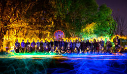 Travesía Visual - Elemental Light