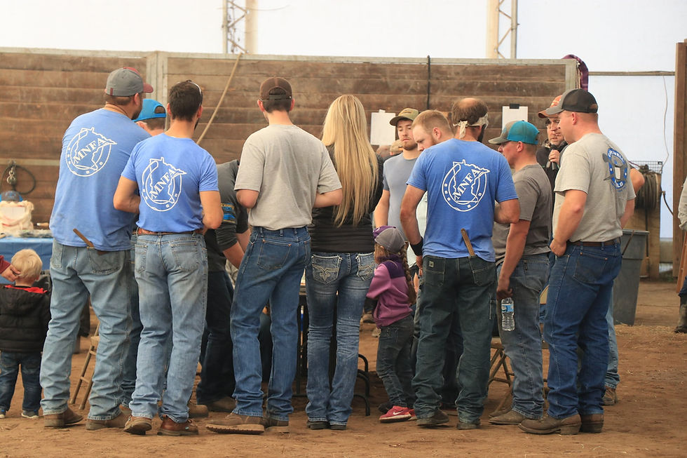Farriers In Minnesota Minnesota Farriers Association Minnesota