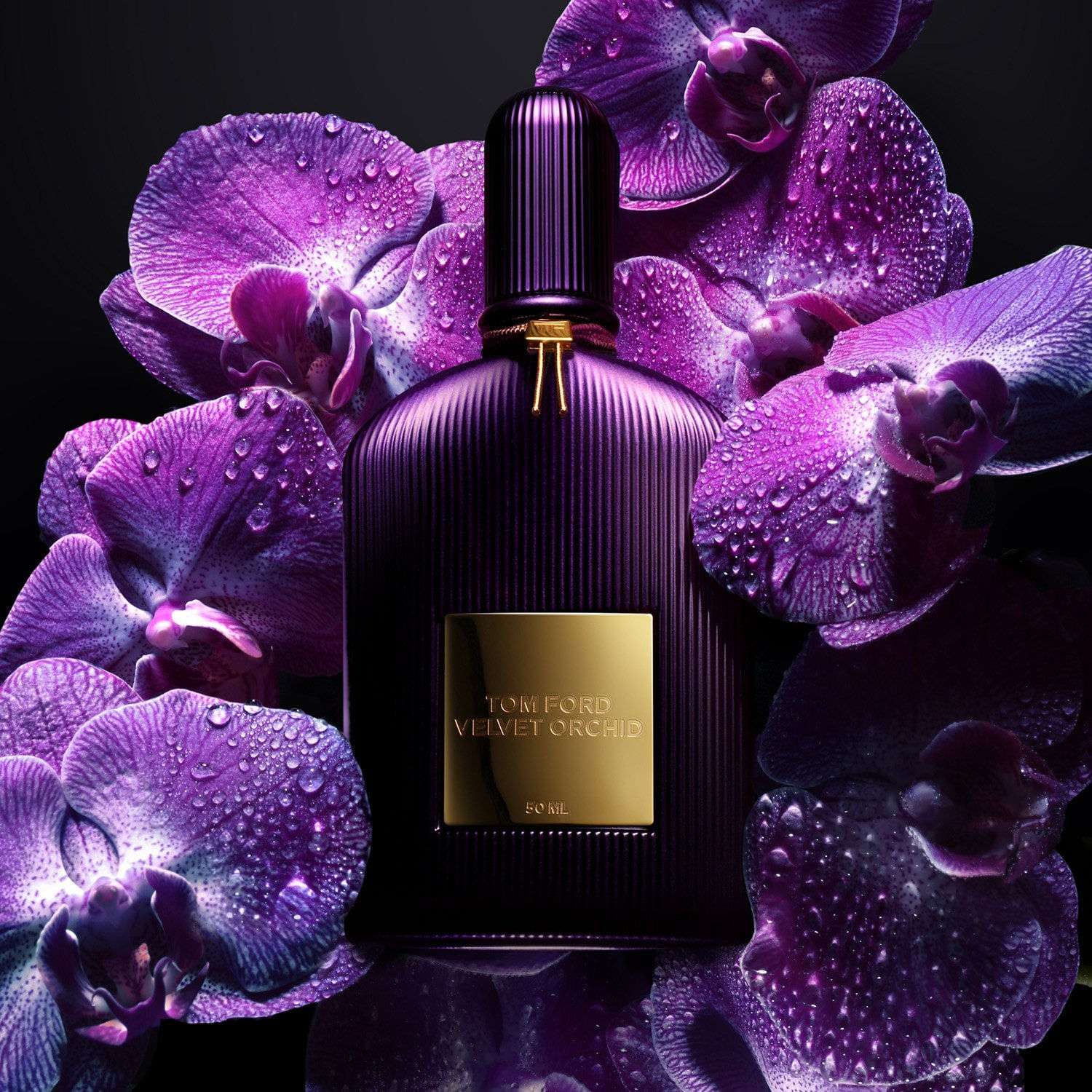 Velvet Orchid By Tom Ford