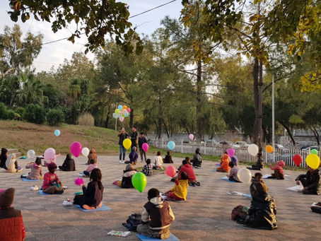 Master Ayub's Park School