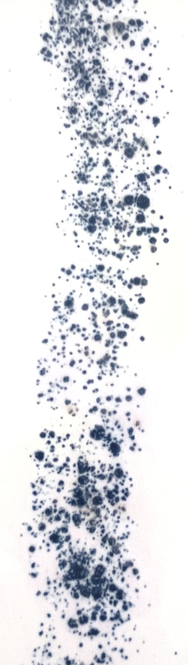 Miniature : Taches bleues en mouvement, Fleurs tableau, motif floral, fond blanc, Dans ma bulle de terre.